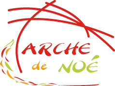 L’Arche de Noé recrute des Animateur·rice·s périscolaires – CDII – Lyon (69)