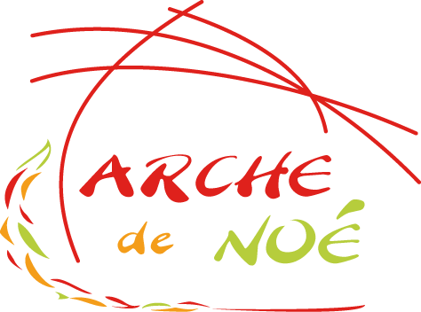 L&rsquo;Arche de Noé recherche des bénévoles pour l&rsquo;accompagnement à la scolarité à Lyon (69)