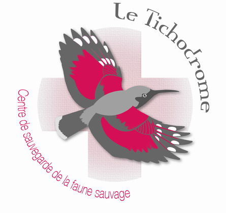 Le Tichodrome recherche un.e bénévole au centre de soins faune sauvage – Le Gua (38)