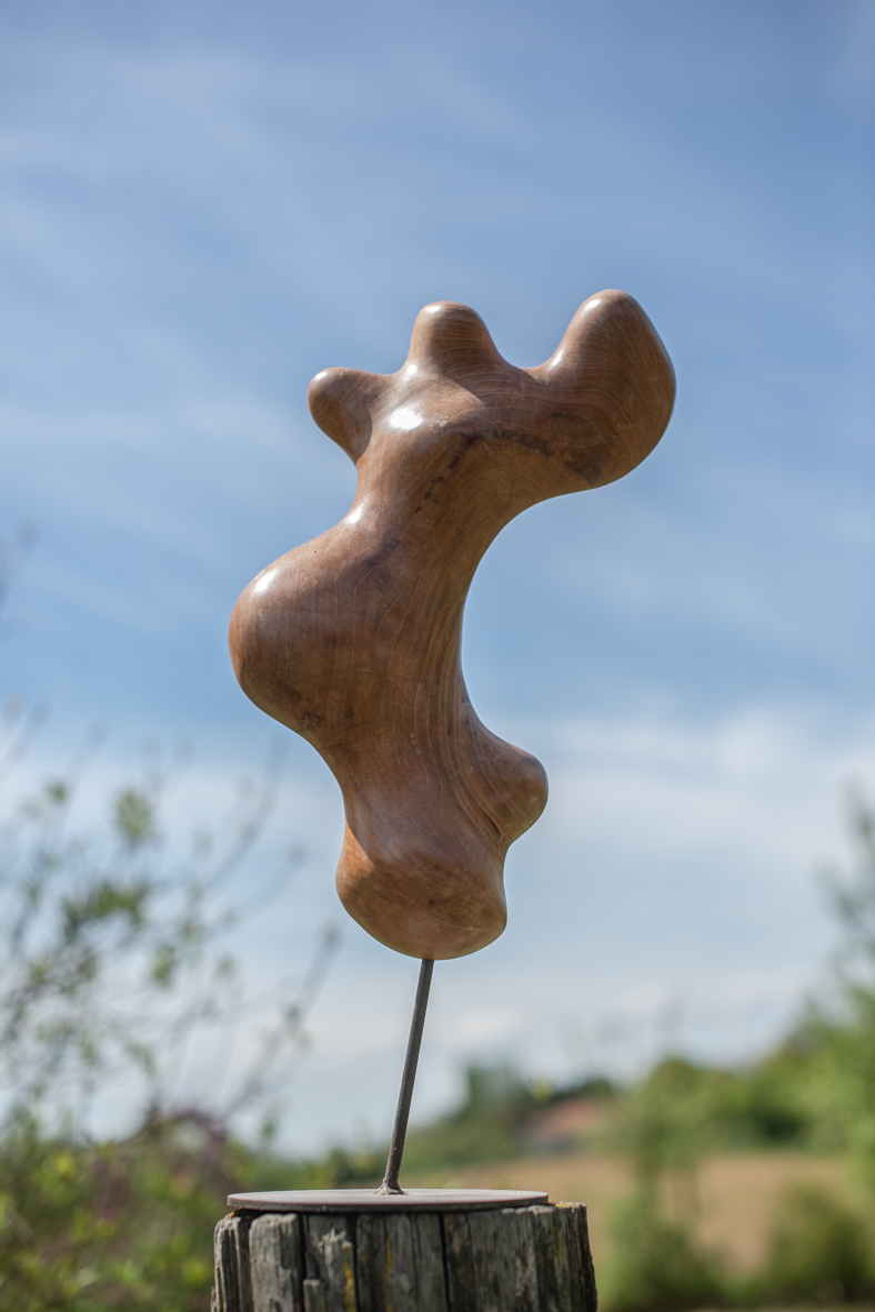 Exposition Gérard Guy -Sculpture – Bourg-en-Bresse (01)