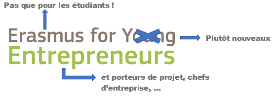 Erasmus Entrepreneurs: mobilité pour les entrepreneurs – en distanciel