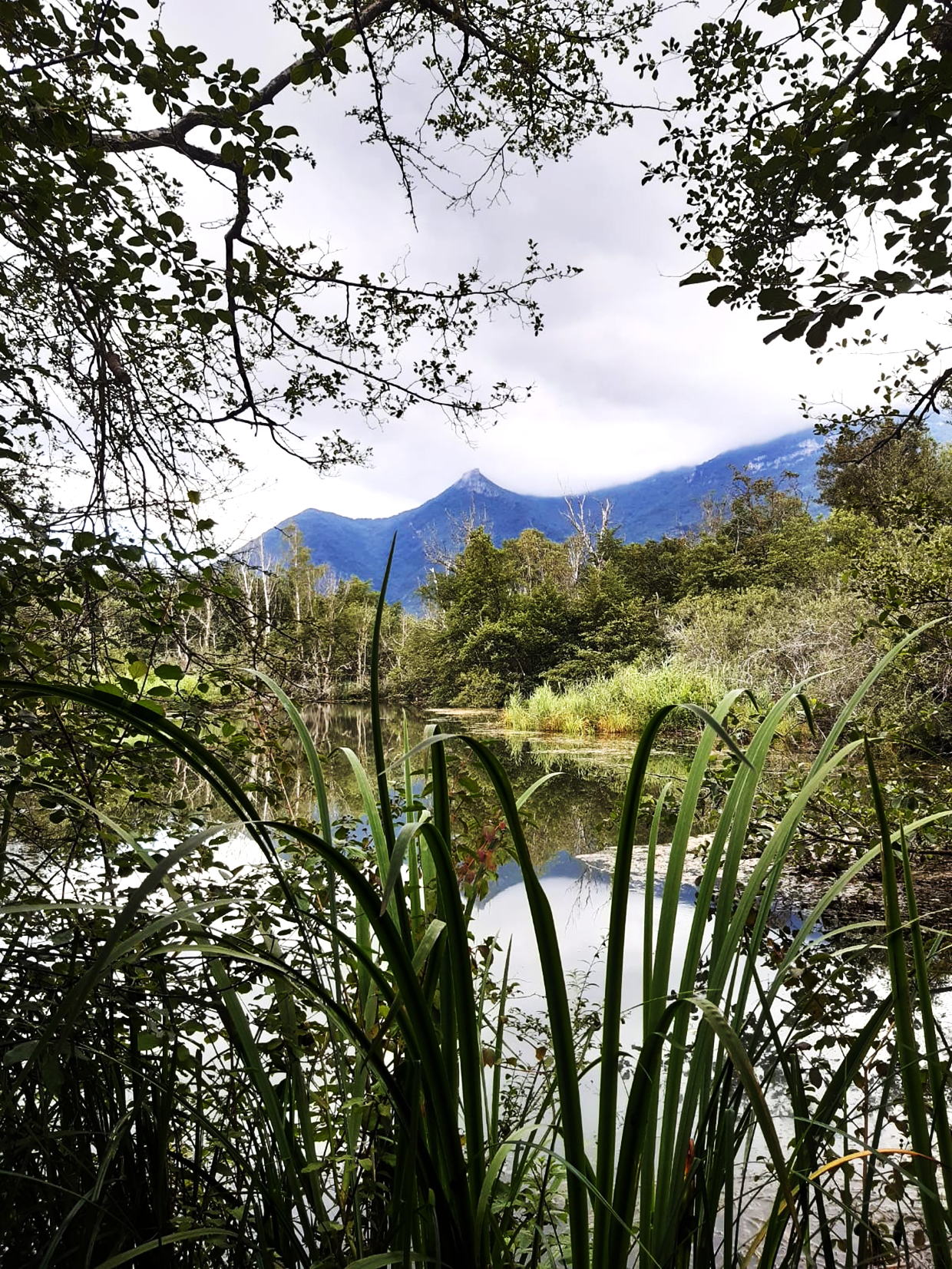 Diagnostic territorial de l’Économie Sociale et Solidaire : un outil au service du développement des territoires de l’Ain Diagnostic territorial de l’Économie Sociale et Solidaire : un outil au service du développement des territoires de l’Ain