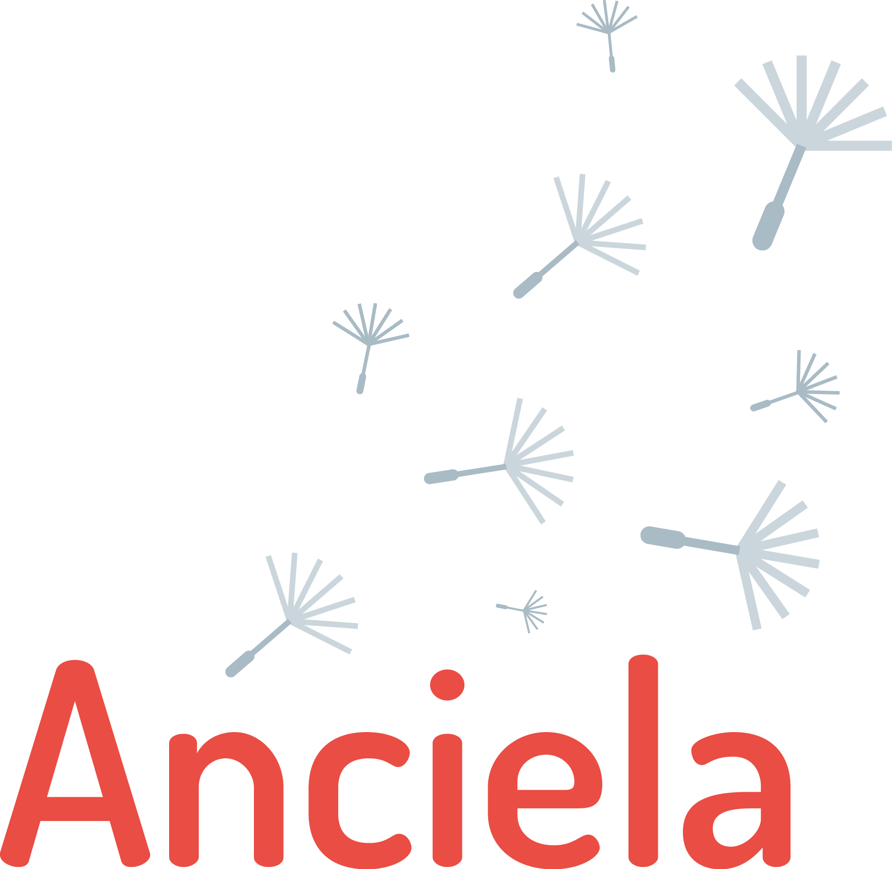 Organisez des campagnes de mobilisation citoyenne pour faire grandir la transition écologique et solidaire avec Anciela – Service civique – H/F – Lyon 7e – Rhône (69)