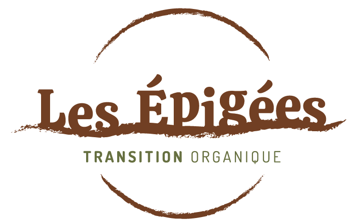 Scop les Epigées