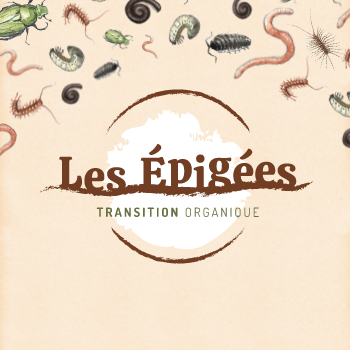 Les Épigées