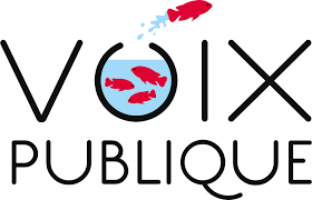 Voix Publique recrute un·e Responsable d’Équipe – sensibilisation au Tri – CDD – Lyon (69)
