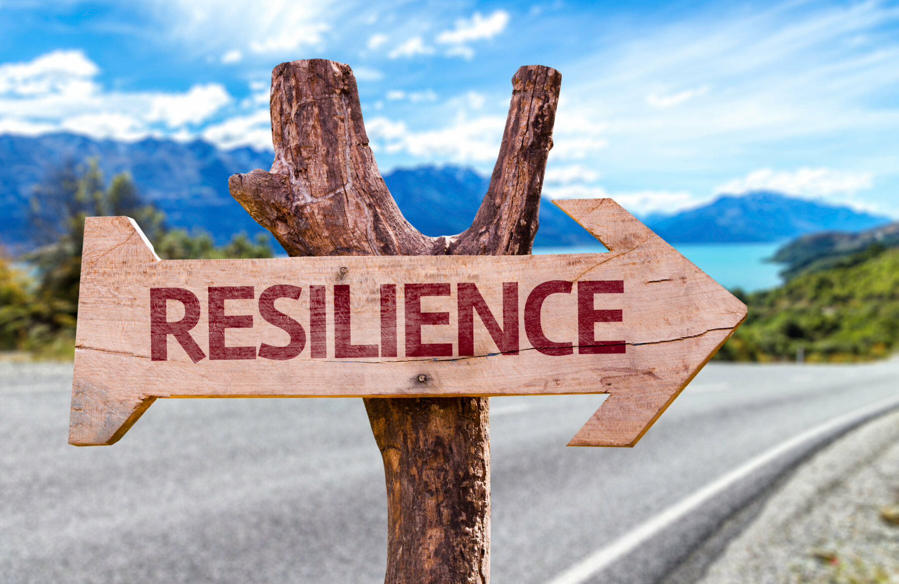Introduction à la résilience des territoires – Grenoble