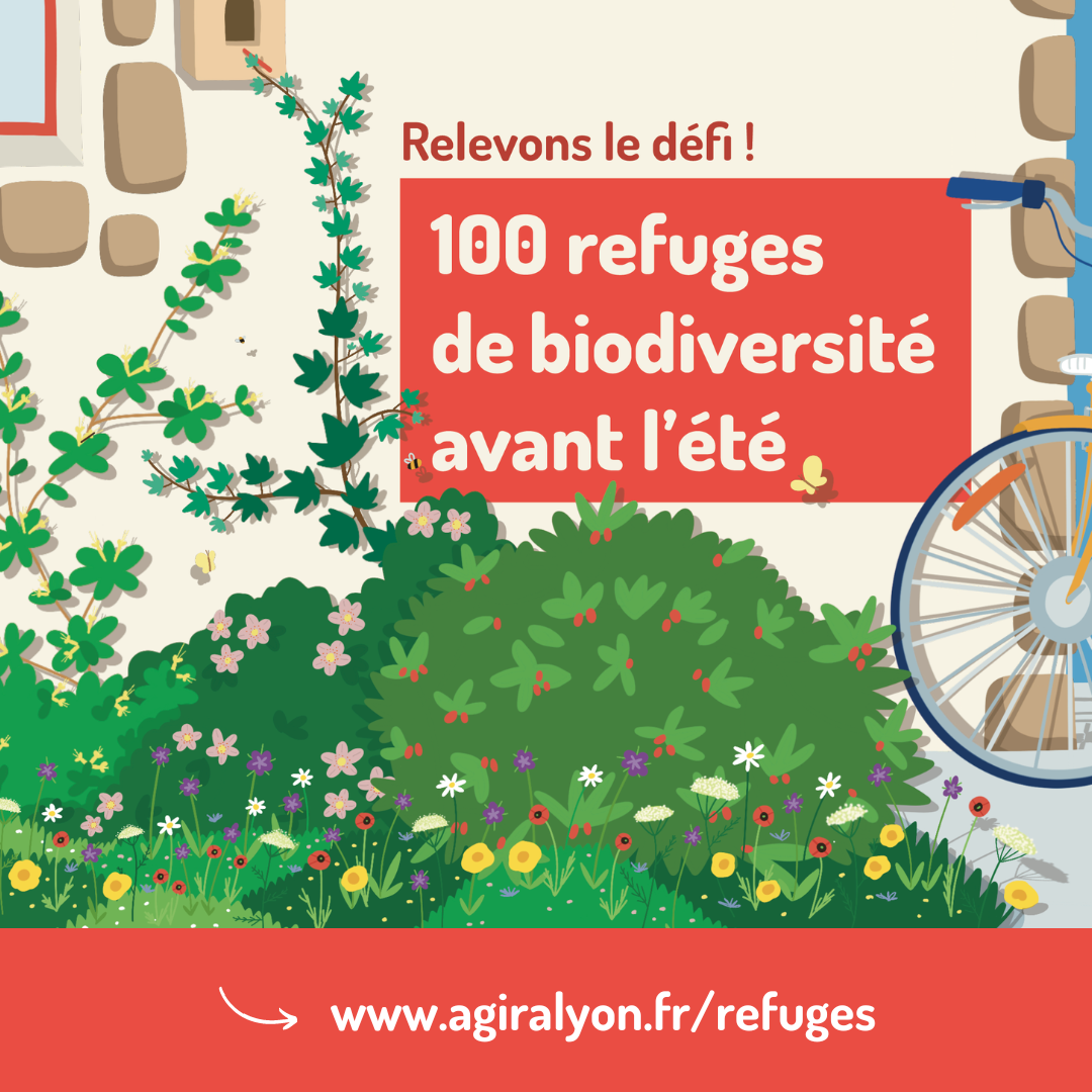 C’est parti pour le Défi « 100 refuges de biodiversité avant l’été » !