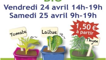 Vente de Plants Bio Vente de Plants Bio